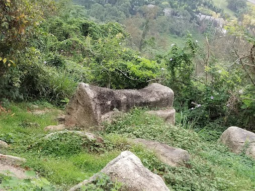 Garden of Tai Tam Hill, Author: 歐陽滿輝