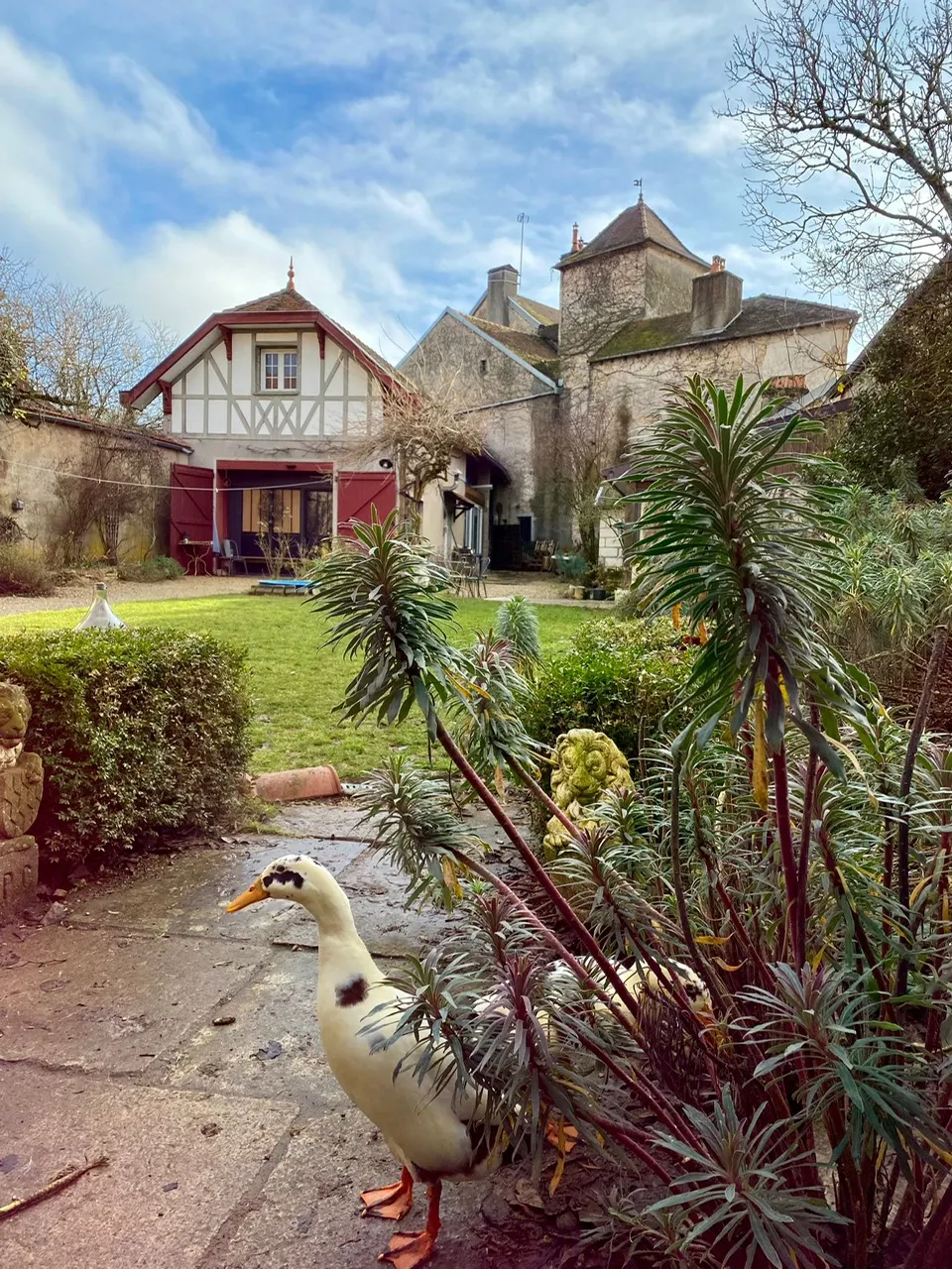 Au cœur de Fontaine