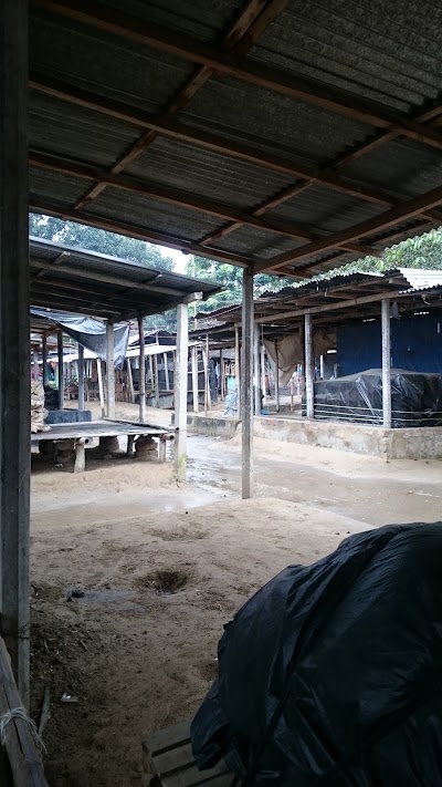 Photos of Bhaighat