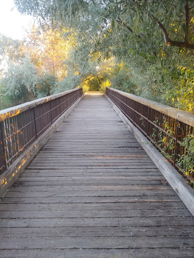 Wetland Discovery Point - Thumbnail