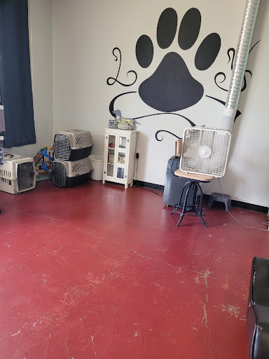 Lan Yap Grooming Salon