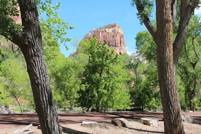 Angels Landing Trail