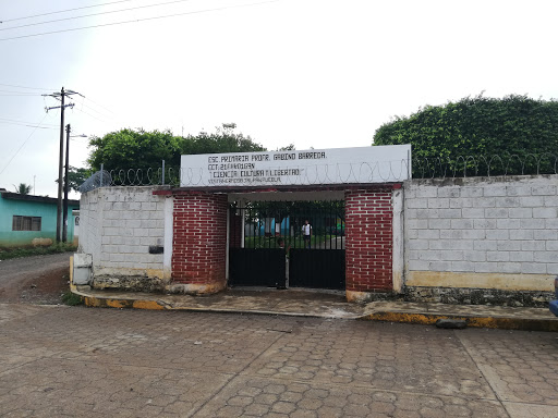 Esc. Primaria Profr. Rafael Ramirez Castañeda