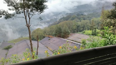Photos of Bekas Pabrik Jamur Sumber Brantas