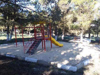 Photos of Recreation Forest Ain Essefra