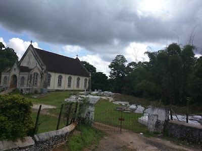 Photos of Bumper's Lawn