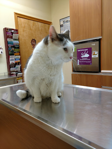 Sheepshead Bay Veterinary Group - Thumbnail