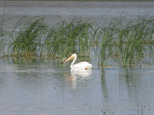 Crescent Lake National Wildlife Refuge Headquarters - Thumbnail