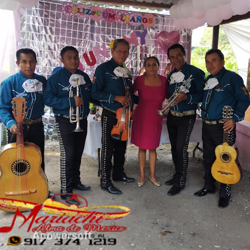 Mariachi Alma de Mexico