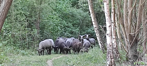 Terrils des Falandes - Thumbnail