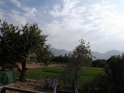 Photos of Green Village