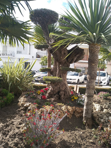 Ubrique Centro de Salud - Thumbnail