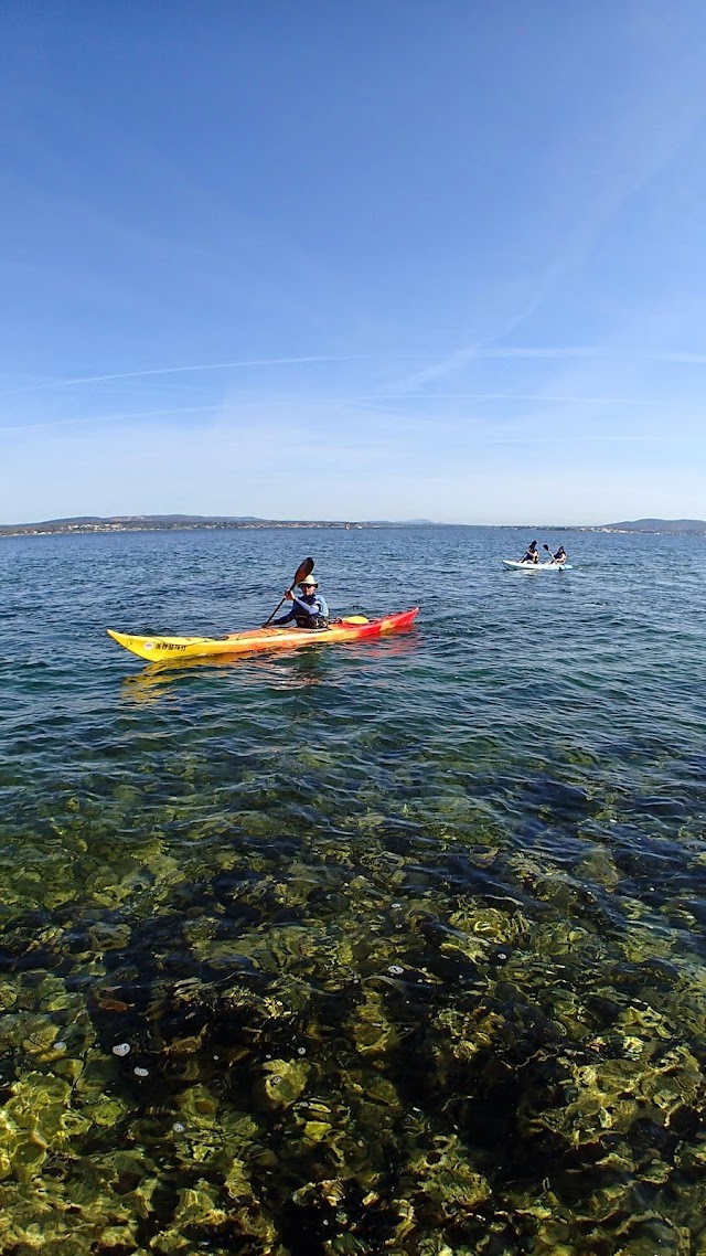 KayakMed