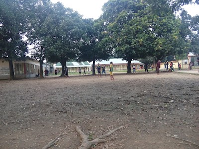 Photos of Radio Colony Model School