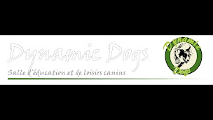 Photo n°2 de Dynamic Dogs à Fontenay-lès-Briis (Complexe sportif)