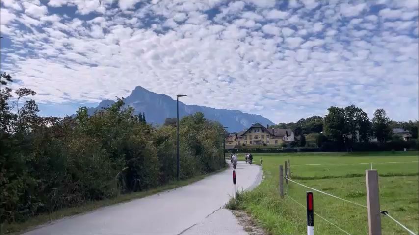 Fräulein Maria's Bicycle Tours by null