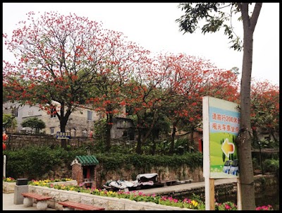 Photos of Xiqiaoshan Botanic Garden