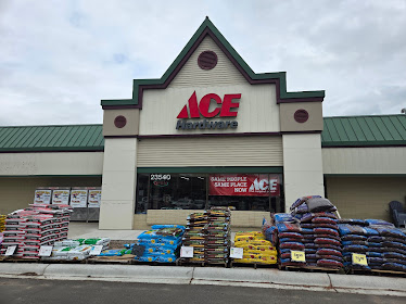 Shorewood Ace