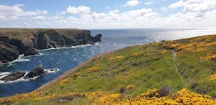 Photo n°7 de Vacances à Belle Île en Mer à Sauzon (Hébergement d'intérieur)