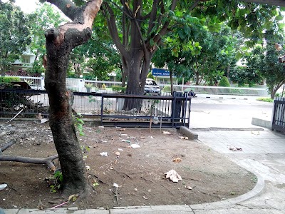 Photos of Pampamdo Petshop