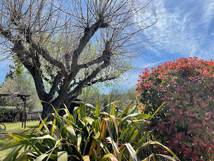 Photo n°29 de Le Mas de Mirabel à Mirabel-aux-Baronnies (Agence de location de maisons de vacances)