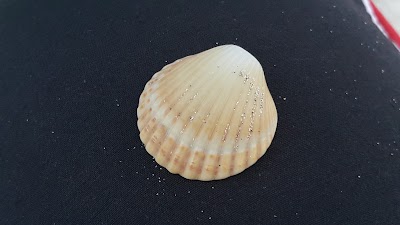 Photos of Assinie Beach