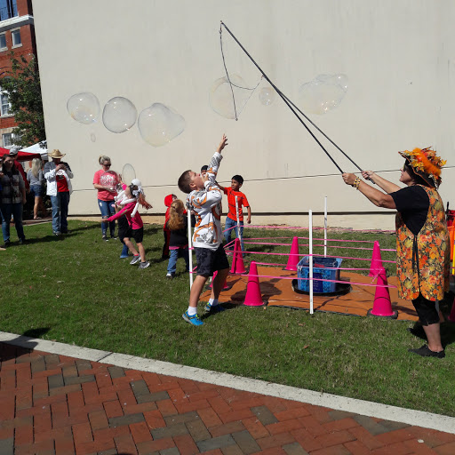 Paulding Fine Arts Association - Thumbnail