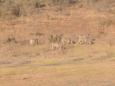 Photos of Chobe