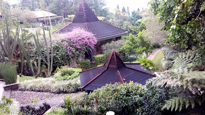 Photos of Pratista