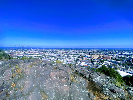 Petar’s View