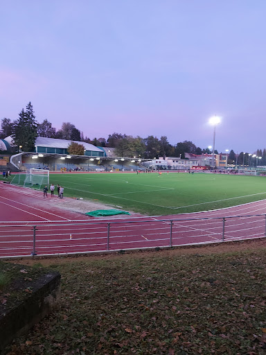 Stade Fallon - Visual