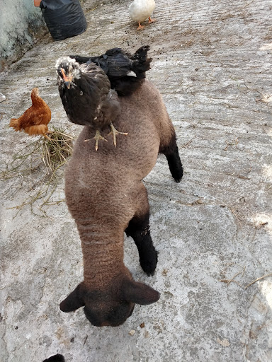 Rancho Tres Marías