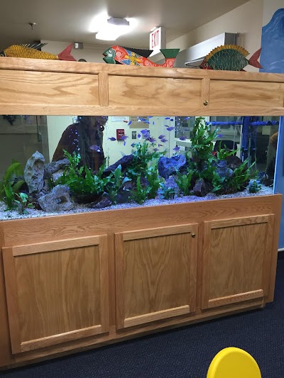 Aquarium Management Systems