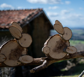 Photo n°8 de Mairie à Augerolles (Hôtel de ville)