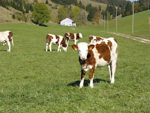 Photo n°12 de Le Bellevue Giron à Giron (Hébergement d'intérieur)