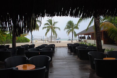 Photos of Wave bar