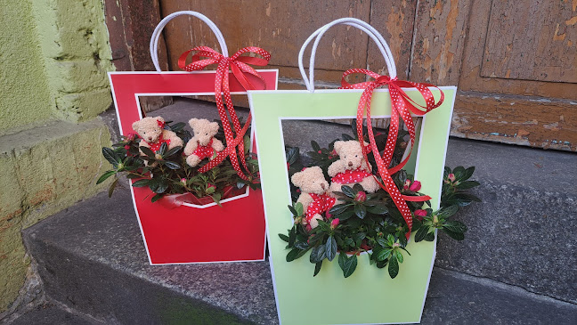 Anna. Kwiaciarnia. Wiązanki okolicznościowe, bukiety.