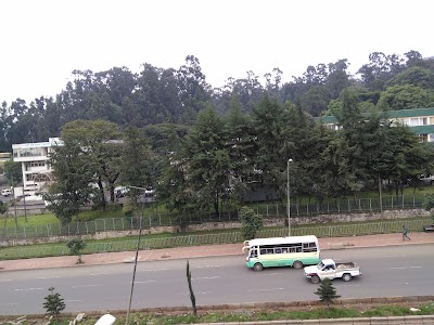 Photos of Ethiopian Biodiversity Institute (EBI)