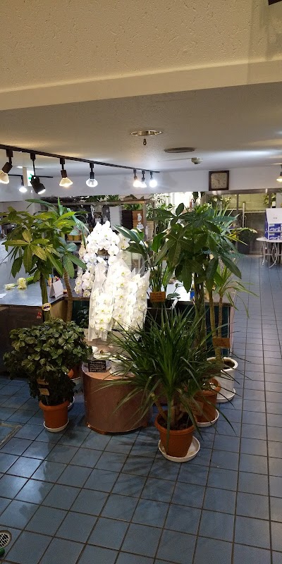 株 大阪園芸社 Sakai Shi ōsaka 81 6 6941 0087