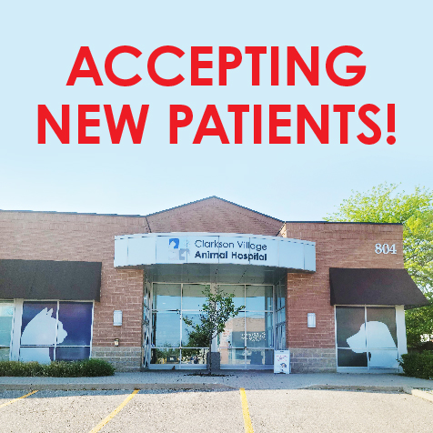 Clarkson Village Animal Hospital - Canada