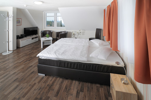 Le petit Palais - Hotel & Ferienapartments - Thumbnail