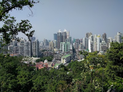 Photos of Flora Garden