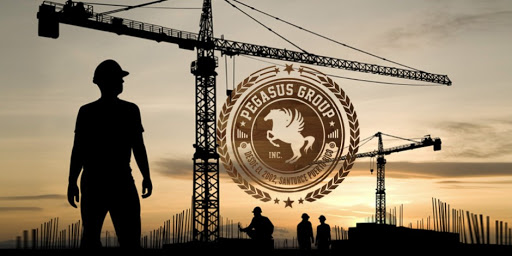 Pegasus Group Inc