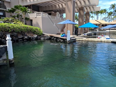 Dolphin Quest Hawaii - Swim with Dolphins