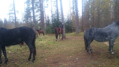 Photos of Kollu aed