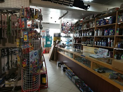 Photos of Begemot