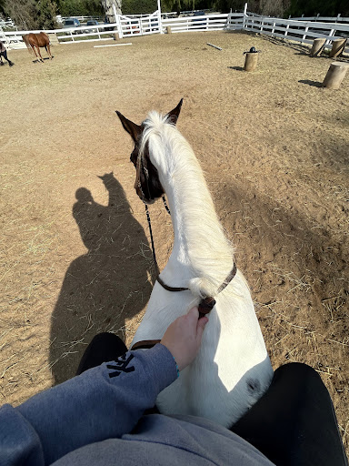 Mystic Canyon Stable - Thumbnail