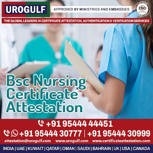 Af1qippickpkl2ghpdg Lbdhdgxdu7be7dzvqeamffqv=s508 K No