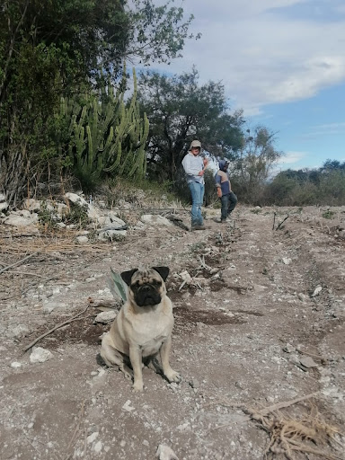Agroecológico Cascadas - Thumbnail