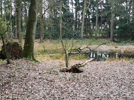 Ridders en roverspad Gallery - Netherlands